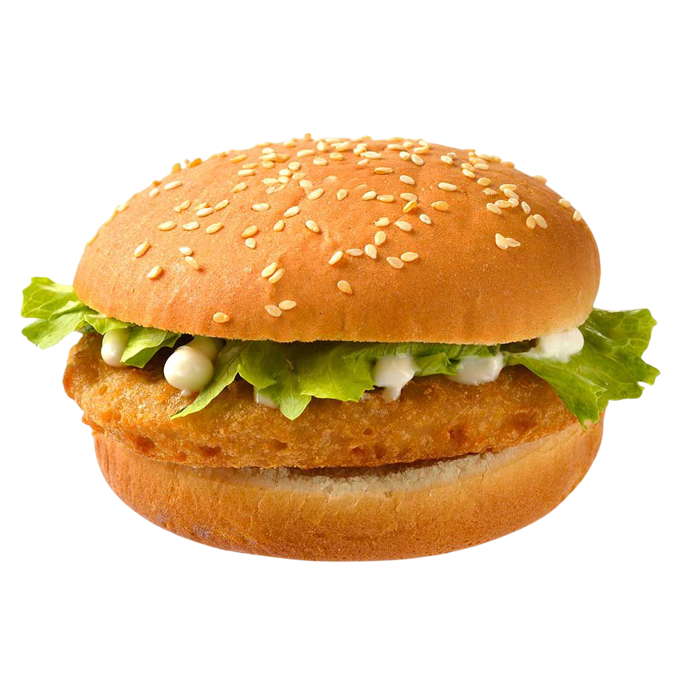 Chicken Steak Burger